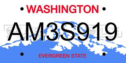 AM3S919 Washington License Plate