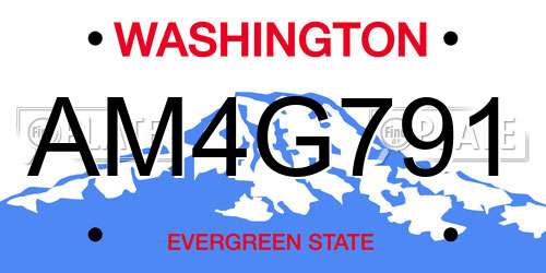 AM4G791 Washington License Plate