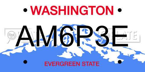 AM6P3E Washington License Plate