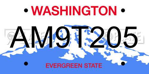 AM9T205 Washington License Plate