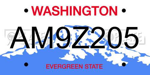 AM9Z205 Washington License Plate