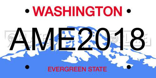 AME2018 Washington License Plate