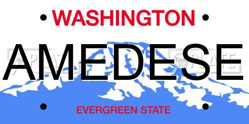 AMEDESE Washington License Plate