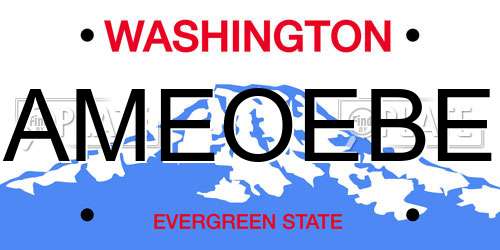 AMEOEBE Washington License Plate