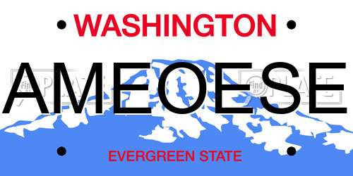 AMEOESE Washington License Plate