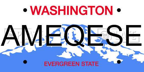AMEQESE Washington License Plate