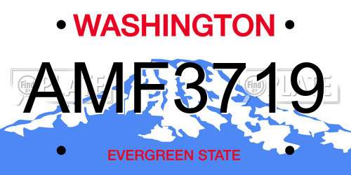 AMF3719 Washington License Plate