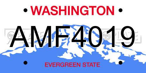 AMF4019 Washington License Plate