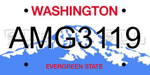 AMG3119 Washington License Plate