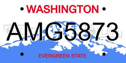 AMG5873 Washington License Plate
