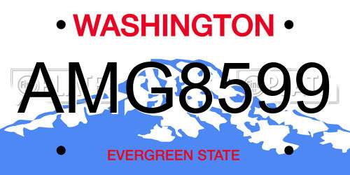 AMG8599 Washington License Plate