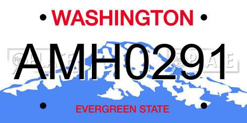 AMH0291 Washington License Plate
