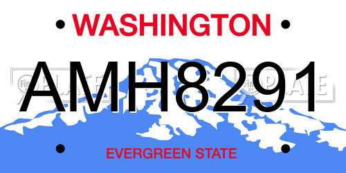 AMH8291 Washington License Plate