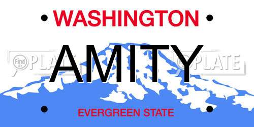 AMITY Washington License Plate