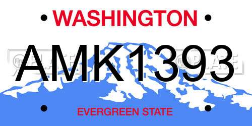 AMK1393 Washington License Plate