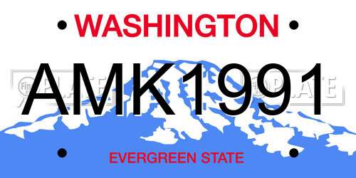 AMK1991 Washington License Plate