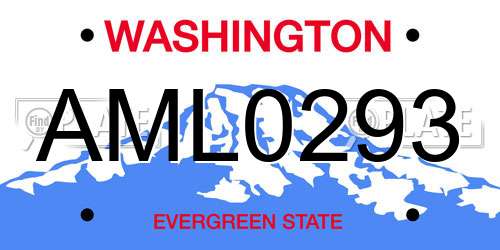 AML0293 Washington License Plate