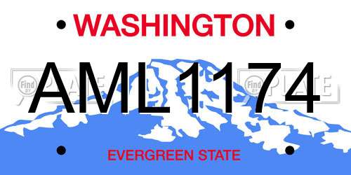 AML1174 Washington License Plate
