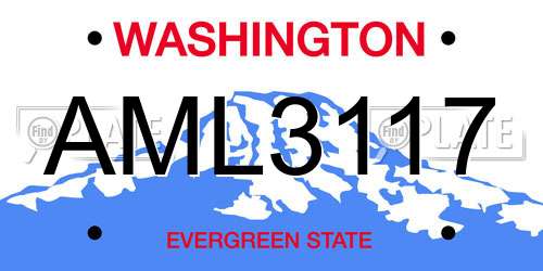 AML3117 Washington License Plate
