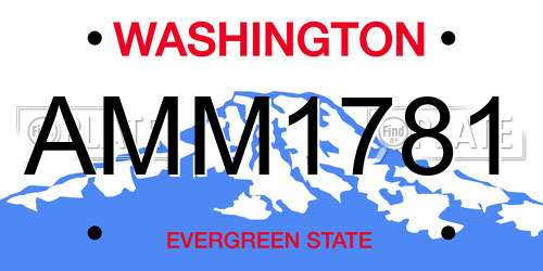 AMM1781 Washington License Plate