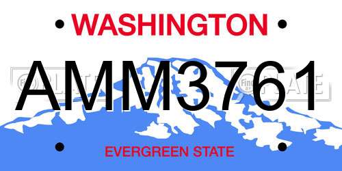 AMM3761 Washington License Plate
