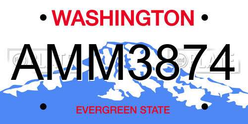 AMM3874 Washington License Plate
