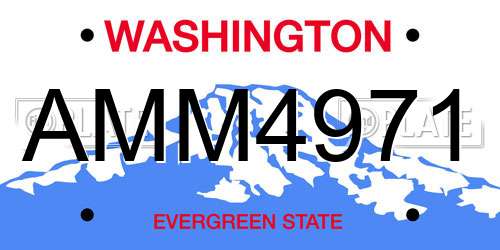 AMM4971 Washington License Plate