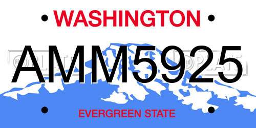 AMM5925 Washington License Plate