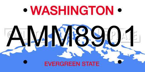 AMM8901 Washington License Plate