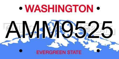 AMM9525 Washington License Plate