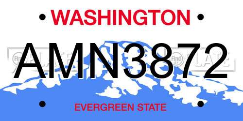 AMN3872 Washington License Plate