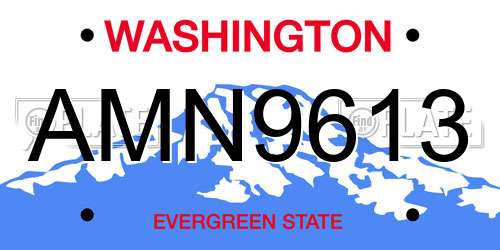 AMN9613 Washington License Plate