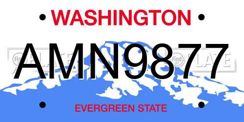AMN9877 Washington License Plate