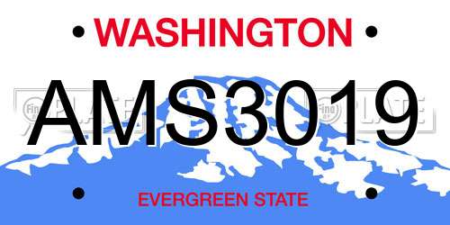 AMS3019 Washington License Plate