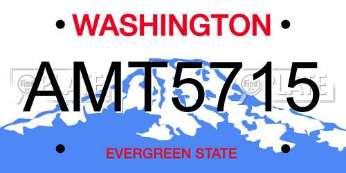 AMT5715 Washington License Plate