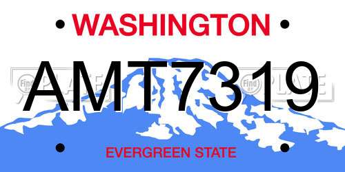 AMT7319 Washington License Plate