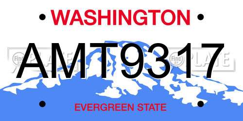 AMT9317 Washington License Plate