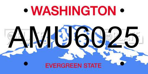 AMU6025 Washington License Plate