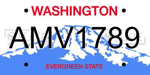 AMV1789 Washington License Plate