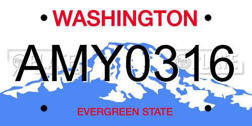 AMY0316 Washington License Plate