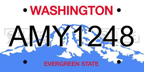 AMY1248 Washington License Plate