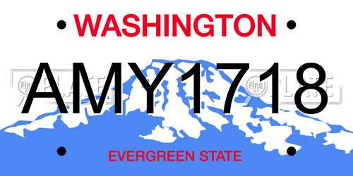 AMY1718 Washington License Plate