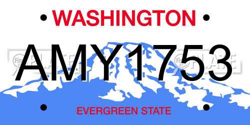 AMY1753 Washington License Plate