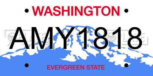 AMY1818 Washington License Plate