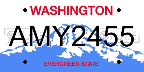 AMY2455 Washington License Plate
