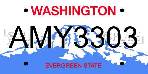 AMY3303 Washington License Plate
