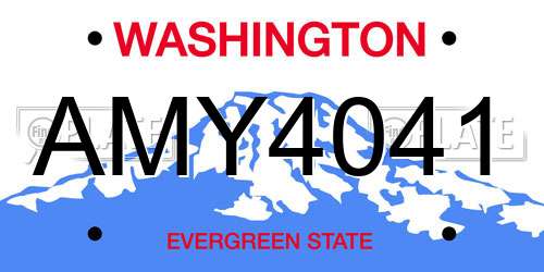 AMY4041 Washington License Plate