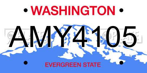 AMY4105 Washington License Plate