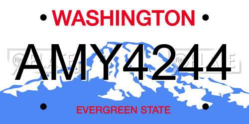 AMY4244 Washington License Plate
