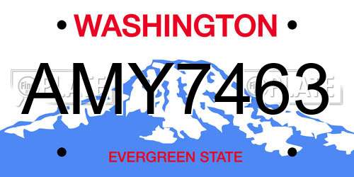 AMY7463 Washington License Plate